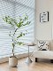 Loushujia Indoor Artificial Hanging Bellflower Tree, Fake Plant Tree, Living Room Decoration, High-End Green Plant Landscaping