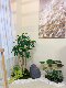 Loushujia Artificial Green Plant Landscaping under the Stairs Indoor Landscape Combination Decorative Ornaments Micro Landscape Fake Plant Tree