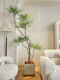 Loushujia Scandinavian ins Artificial Green Plant, Nandina Bamboo, Floor-Standing Indoor Living Room, Simulated Fake Plant Tree Decoration Ornament
