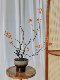 Loushujia Artificial Green Plant Desktop Decoration Ornament for Living Room Entrance, High-End Light Luxury, High-Quality Imitation Plant
