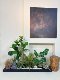 Loushujia Artificial Green Plant Landscaping under the Stairs Indoor Landscape Combination Decorative Ornaments Micro Landscape Fake Plant Tree