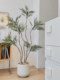Loushujia Large-Scale Artificial Green Plants, High-End Light Luxury Indoor Potted Plants, Decorative Bionic Plant Ornaments, Sofa Fake Green Plants