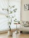 Loushujia Artificial Green Plants, High-End Light Luxury Camellia Tree, Indoor Living Room Decoration Ornaments, High-End Realistic Fake Plants