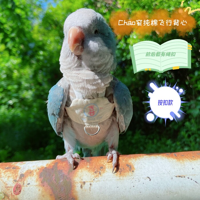Parrot Flying Harness Leash, Ultra-Light Training and Walking Rope for Birds, Pure Cotton, Lightweight and Bite-Resistant Parrot Flying Harness Leash, Ultra-Light Training and Walking Rope for Birds, Pure Cotton, Lightweight and Bite-Resistant