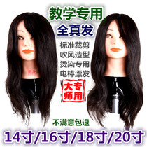 Custom hair teaching Full real hair model head practice head head mold doll head Dummy head Teaching head competition special