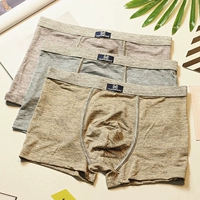 3 hộp Đồ lót cotton thoải mái Nam Boxer Thanh niên Tide Quần short nam Boxer Màu Blend lọt khe nam