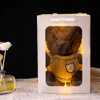 Кофе [Сумочка + Световая веревка]