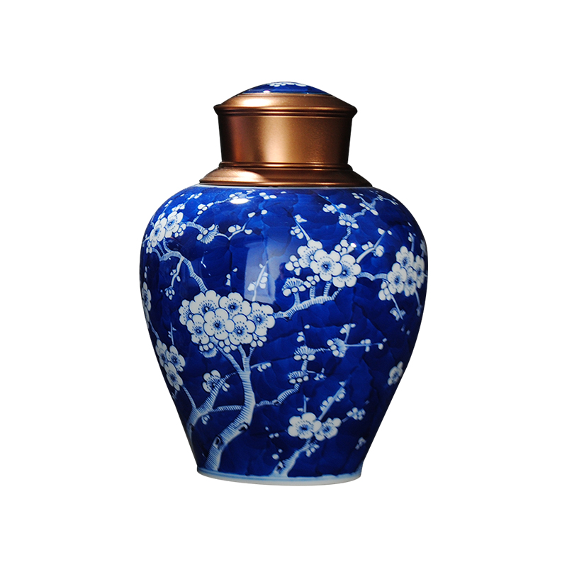 Jingdezhen ceramic tea pot large hand - made porcelain vacuum sealed as cans tieguanyin tea storage tanks