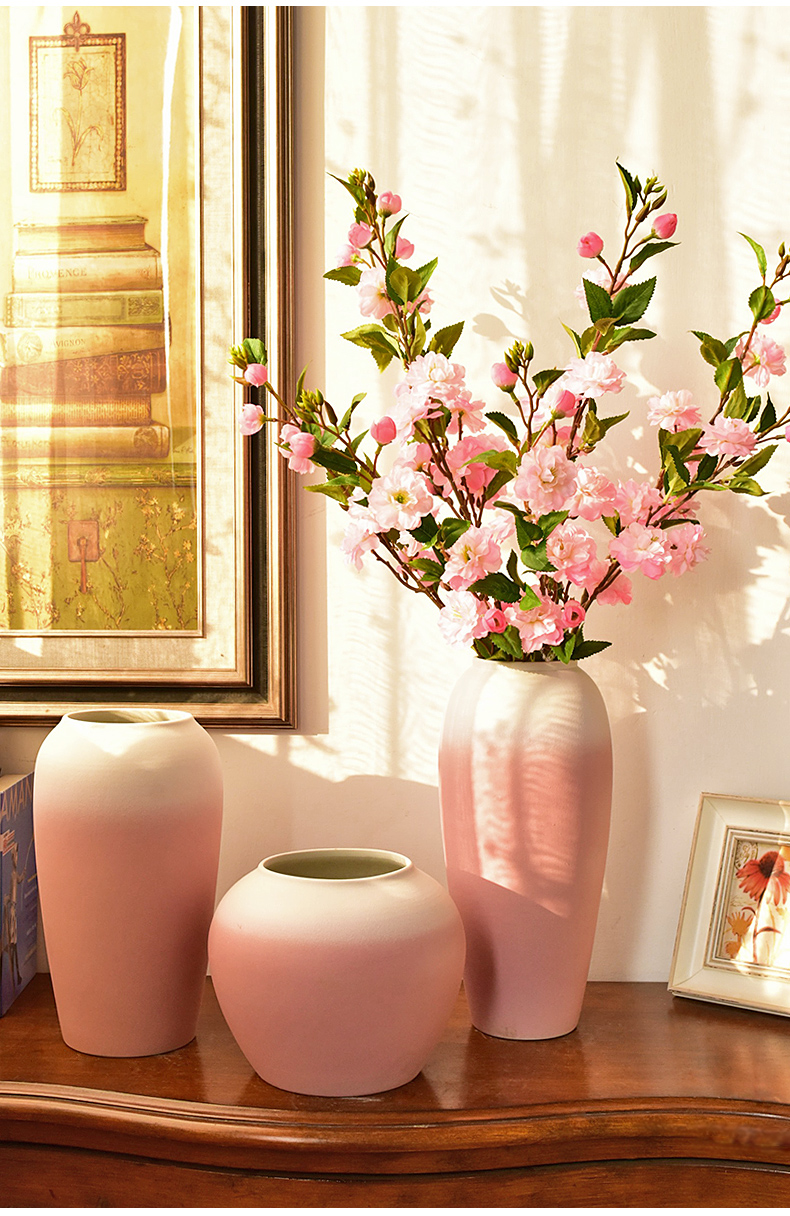 New Chinese style in modern Japanese ceramic vase sitting room porch TV ark, home decoration dry flower flower flower arranging furnishing articles