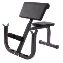 Dual-function biceps training rack home fitness equipment Roman chair goat waist straightener waist beauty machine Roman stool