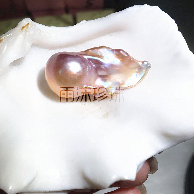 (Rain foam pearl) cloud flying saucer rush purple emperor star four-leaf clover alien mussel pearl mussel