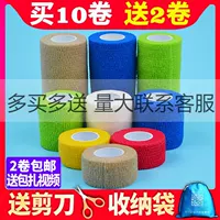 Songning Self -Stick Bandage Pet Bangage 10 Get 2 Get 2