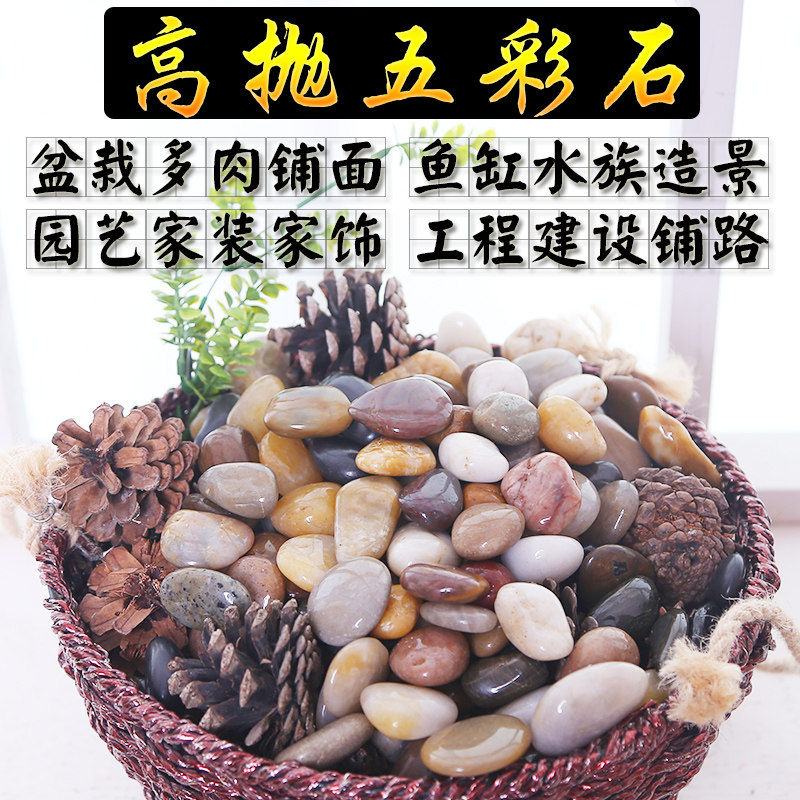 Cobblestone rain stone natural small stone fish tank flower pot fleshy decorative pot gardening landscaping multicolored stone 5 pounds