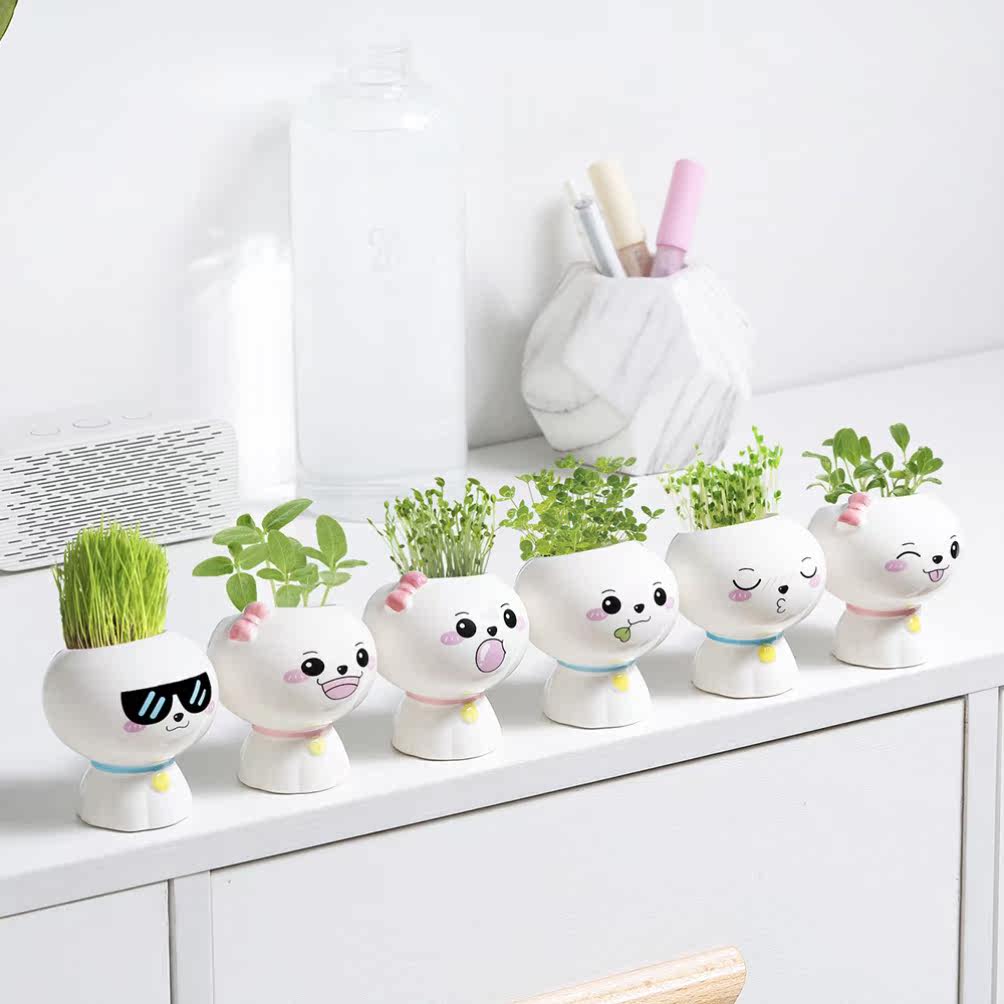 Net red indoor desktop planting ornaments with long hair on the head of the plant doll head planting and watering to grow grass