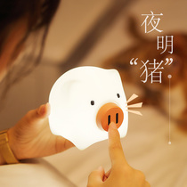 Teachers Day Send Teacher Practical Wife Creative Pig Baby Girlfriend Ben Birth Year Female Birthday Gift Send Girl Special