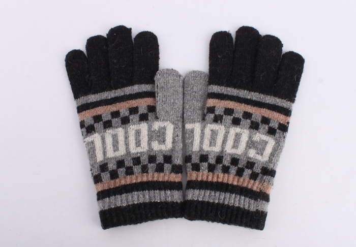 Gants pour homme - Ref 2782387 Image 7