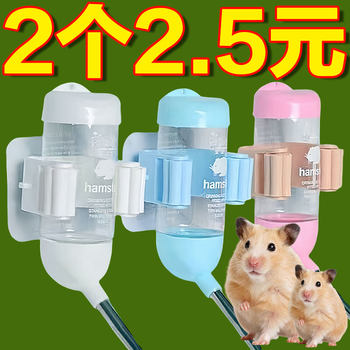 Pet hamster golden bear hedgehog sleeping