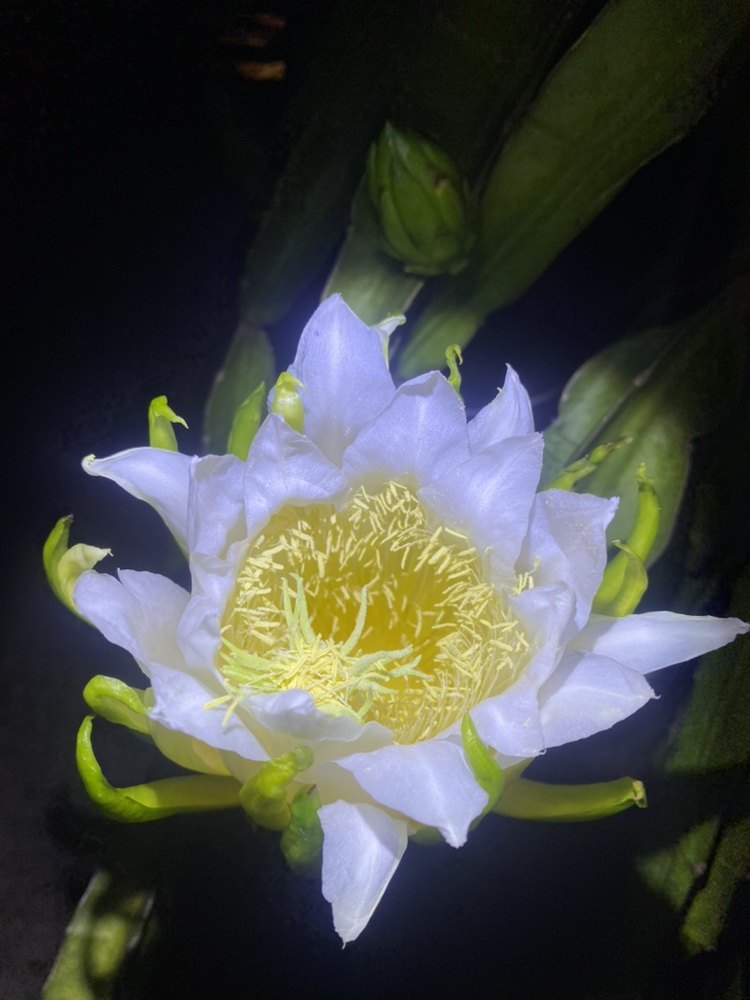 温州特产铺