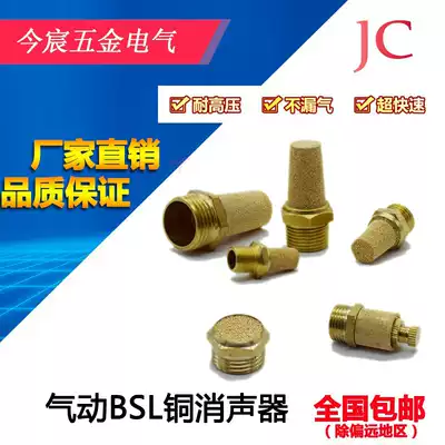 Solenoid valve pneumatic silencer long head BSL-01 02 03 04 06 points half copper tip flat head silencer