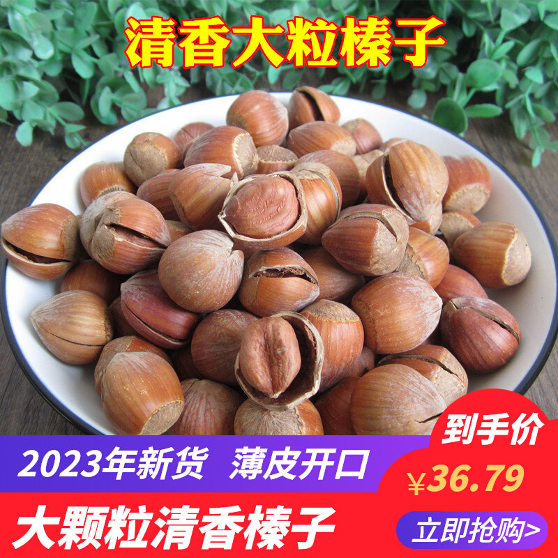 2023 New goods large grain clear scents hazelnut Northeastern terproduce opening thin leather original flavor cooked nut fried snacks 500g-Taobao