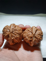 46 special gate lion head full product 3012 high-quality cultural toys walnut base original ecological wild unicorn lion head