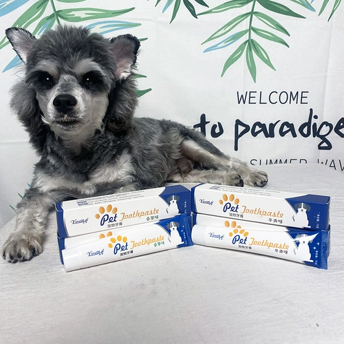 Зубная паста собака и кошка Разное стоматолога Delica Calcium Sheronori FA Dou Teddy Clean Cleansing Edible