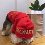 Одежда для щенка осенью и зимой, бренд Tide Brand Sherry, чем медведь плюшевый питовой свитер, празднуйте обе ноги плюс бархат