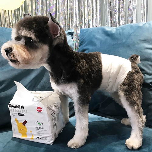 Физиологические штаны собаки Скюенари Шиба Ину Тедди Моча мочи без влажных брюк мочи Санитарные брюки для салфетки Менструальные штаны