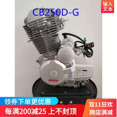 Zongshen CB250 engine assembly CB250D-G whiteboard machine kart car Huayang Zhenglin original engine