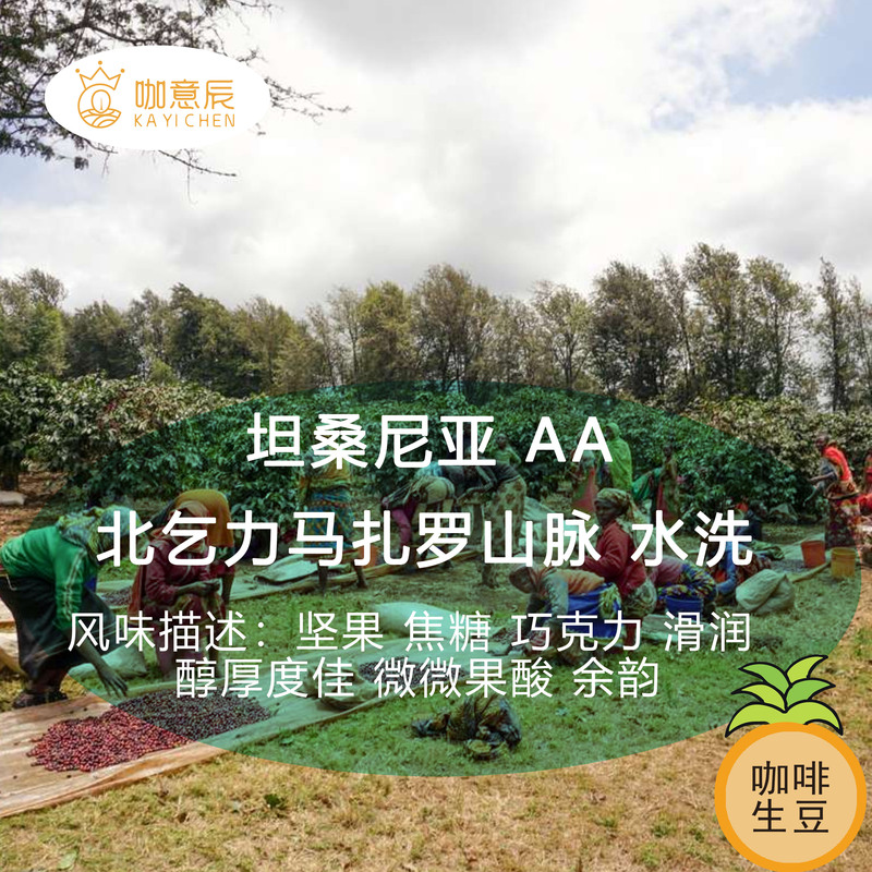 2026 New Crop Season Tanzania Northern Kilimanjaro Mountain Aa Washed Faq Coffee Beans with Rich Aroma 2026 New Crop Season Tanzania Northern Kilimanjaro Mountain Aa Washed Faq Coffee Beans with Rich Aroma