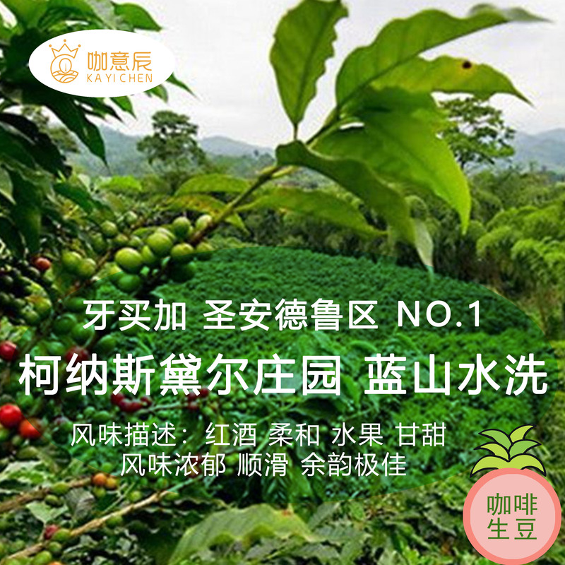 2026 Harvest Season Jamaica Blue Mountain Conacester Estate No. 1 Washed Premium Hand-Brewed Coffee Green Beans 2026 Harvest Season Jamaica Blue Mountain Conacester Estate No. 1 Washed Premium Hand-Brewed Coffee Green Beans