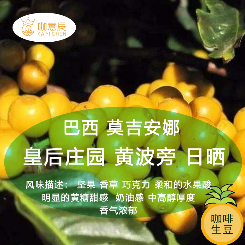 26 Years Old Brazilian Imported Mogiana Queen's Estate Yellow Bourbon Sun-Dried Soe Specialty Coffee Beans with High Sweetness and Mellow Aroma 26 Years Old Brazilian Imported Mogiana Queen's Estate Yellow Bourbon Sun-Dried Soe Specialty Coffee Beans with High Sweetness and Mellow Aroma