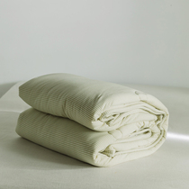 Class A knitted cotton in autumn and winter thickened warm quilt core skin-friendly single Four Seasons cotton quilt double spring and autumn quilt