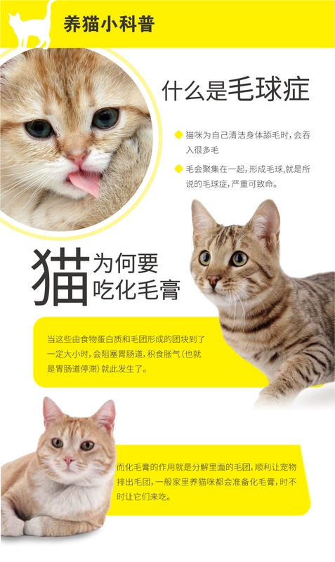 Gimpet Đức Junbao Cat Hair Cream 200g Cat Spit Hair Cream Essence Strong Hair Ball - Cat / Dog Health bổ sung