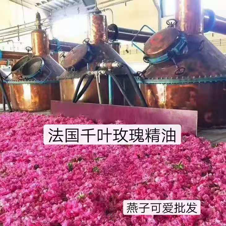 French Chiba rose (glass rose) unilateral essential oil distilled from 5ml ~ RMB350