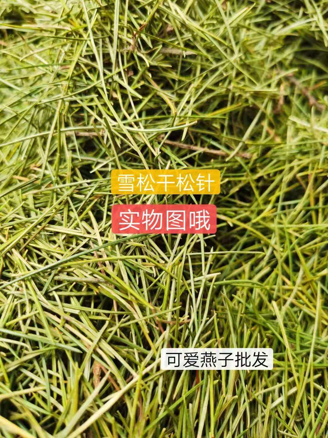Pure dew raw material cedar dry pine needles, one pound 30 yuan, two pounds 50 yuan