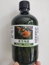 Fresh Ganoderma Lucidum pure dew 500ml 40 yuan five catties 140