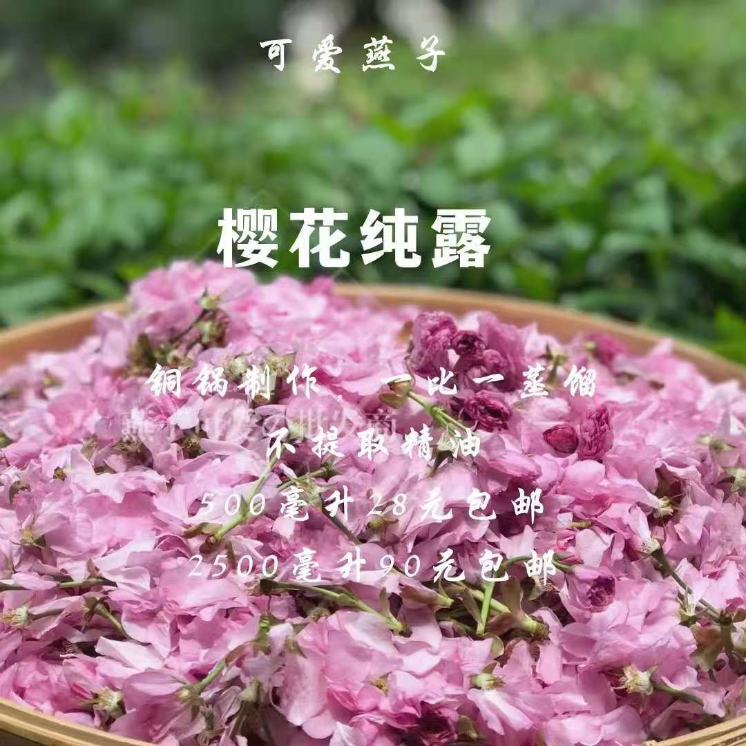 Eight-petal fresh cherry blossom pure dew copper pot distillation does not extract essential oil