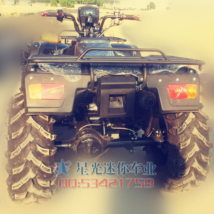 Longding đầy đủ tính năng núi atv xe bốn bánh xe địa hình xe máy ATV 250cc xe phân khối lớn mini