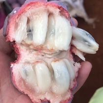 2024 summer rose custard apple red custard apple sweet custard apple honey purple Buddha head seasonal freshly picked fruit specialties