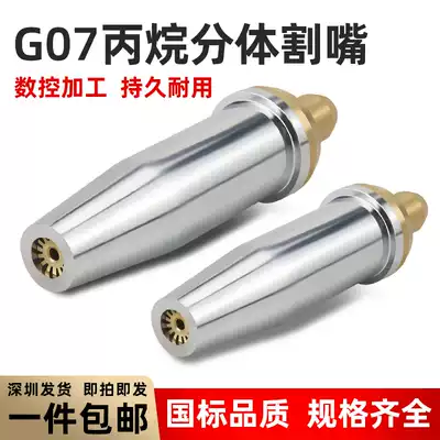 Oxygen acetylene G07-30 100 300 Propane cutting nozzle Gas liquefied gas plum blossom cutting nozzle Stainless steel two-piece nozzle