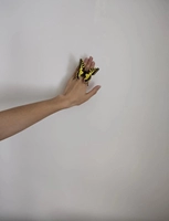 Кольцо с бабочкой 8,5 см, бабочка 28 Цвета -один -2