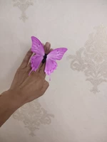 Кольцо с бабочкой 11 см, бабочка 41 Цвет -до -2 цвета