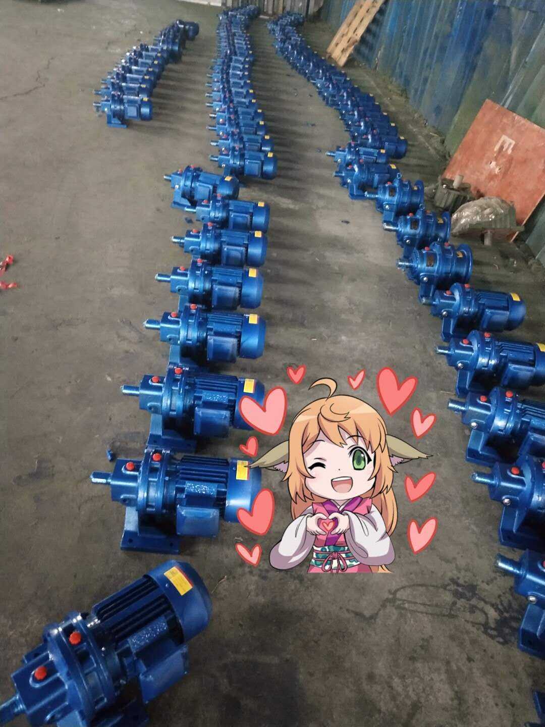 Manufacturer Direct Sale Various models Planetary vertical cycloidal pin wheel reducer with motor plenty of spot supply