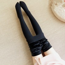 Inside wear imitation denim with crotch socks womens stockings cotton pants autumn socks skin color pantyhose new autumn thin winter