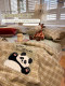 Matcha Panda Soybean Summer Cooling Quilt Four-Piece Set, Machine Washable, Summer Thin Quilt for Single or Double Beds, Air Conditioning Quilt for Summer