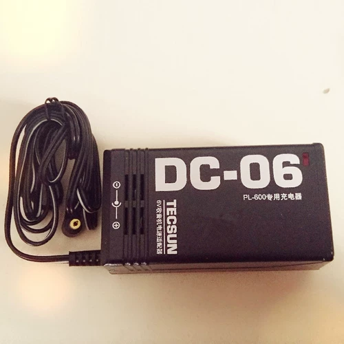 Оригинальный адаптер питания TECSUN Desheng DC-06, специальное зарядное устройство R-9700DX, PL600, PL660.PL680 PL-450, оригинальный трансформатор Desheng 6 В 300 мА