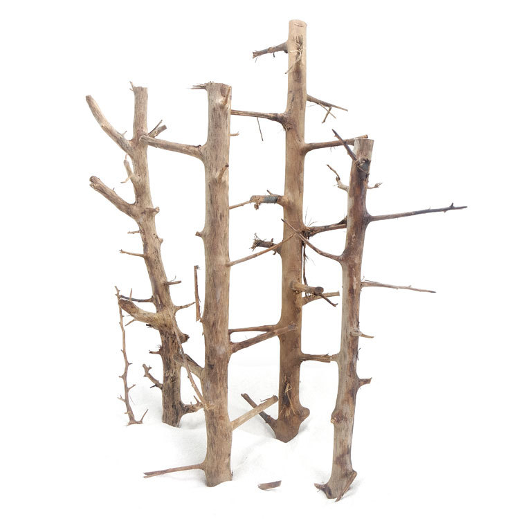 Natural Moss Tree Needlewood Aquarium Fish Tank Forest Skeleton Landscaping Wood Grass Tank Living Room Decoration Tumor Wood Thorn Wood Ornaments