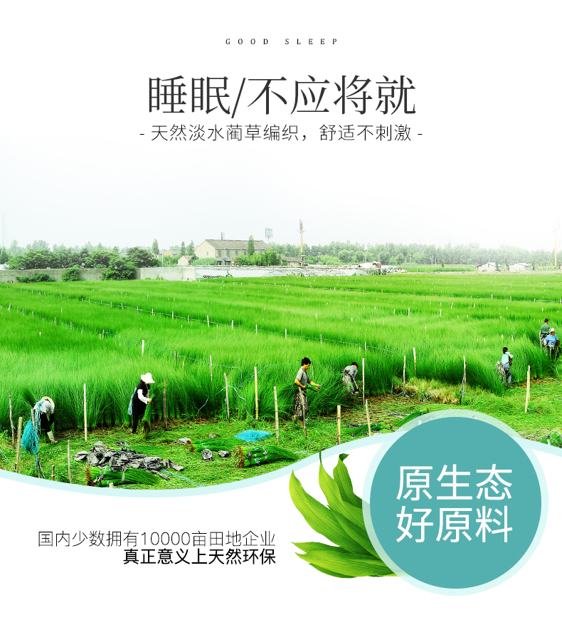 giường Huasheng vội vàng thảm 1,2m sinh viên 0.9m mat ngủ phong lan tự nhiên Ningbo 0,8 1 thảm dày mùa hè - Thảm mùa hè chiếu tăm