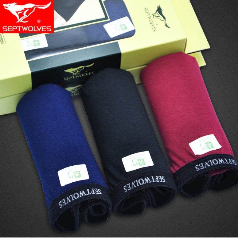 Septwolves Bamboo Pulp Fiber Men's Underwear Men's Boxer Pants Sexy Youth Boxer Pants Summer Thin 2 Pack